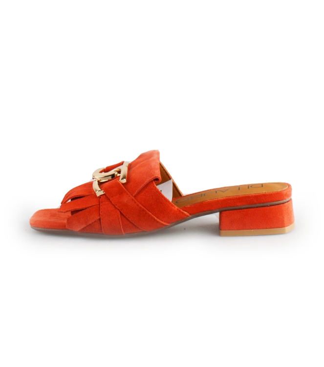 Di Lauro Slippers