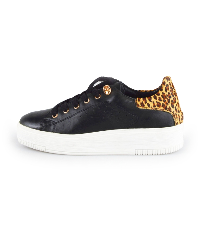 Cellini Sneakers