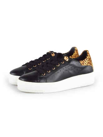 Cellini Sneakers Zwart 177779
