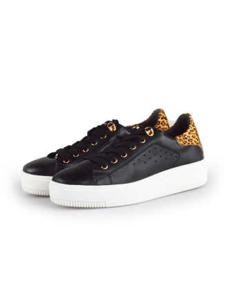Cellini Sneakers Zwart 177787