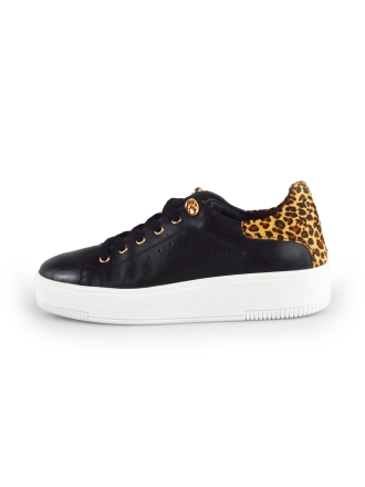 Cellini Sneakers