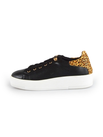 Cellini Sneakers Zwart 177789
