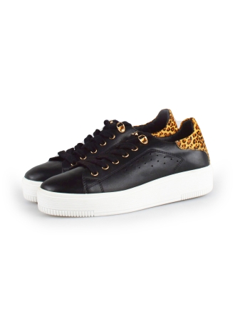 Cellini Sneakers Zwart 177789