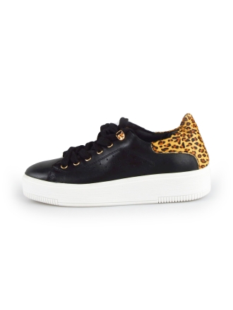 Cellini Sneakers