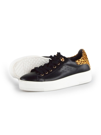 Cellini Sneakers
