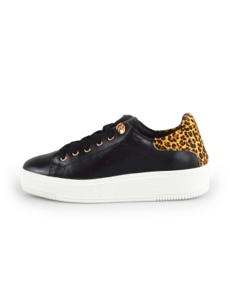 Cellini Sneakers Zwart 177823