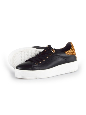 Cellini Sneakers
