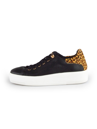 Cellini Sneakers Zwart 178023