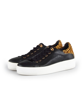 Cellini Sneakers Zwart 178023