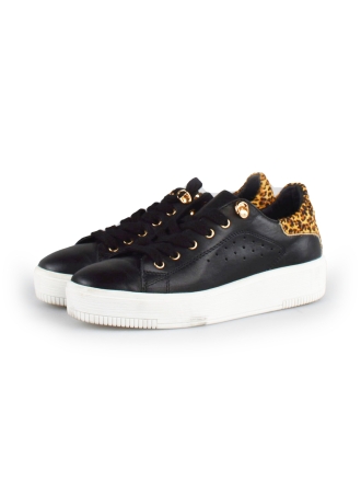 Cellini Sneakers Zwart 178026