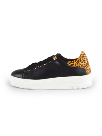 Cellini Sneakers Zwart 178030
