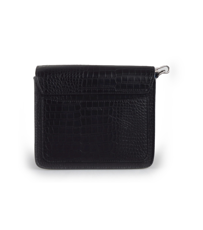 Hvisk Tas