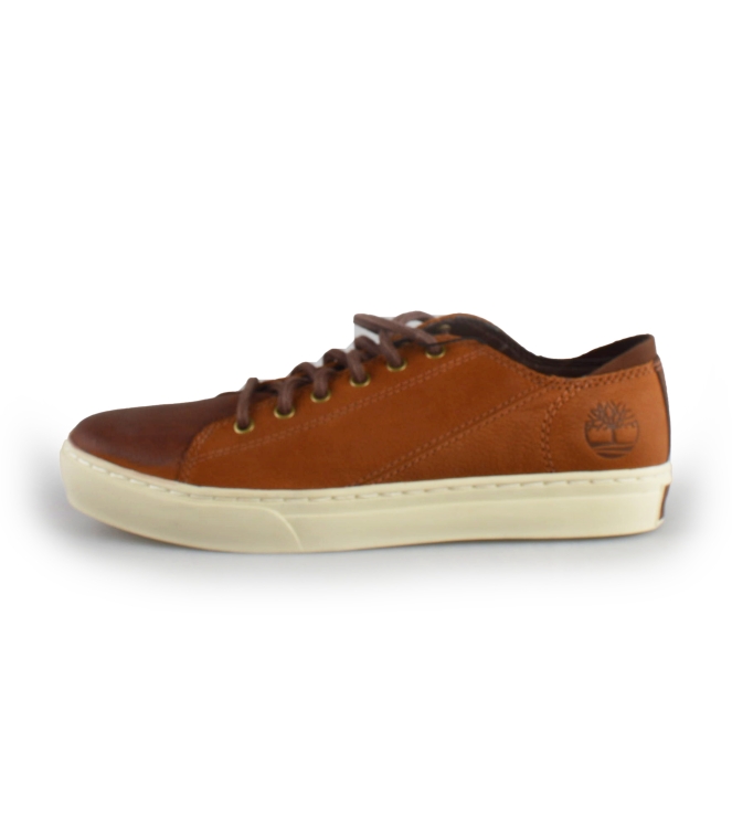 Timberland Sneakers