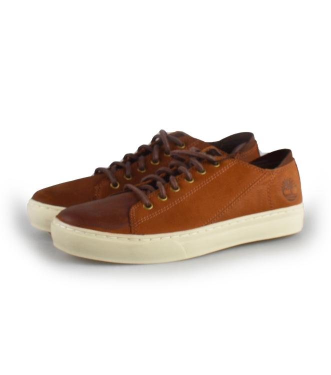 Timberland Sneakers