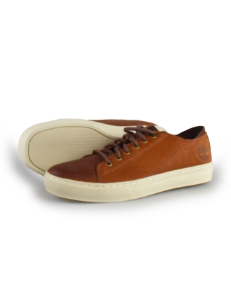 Timberland Sneakers