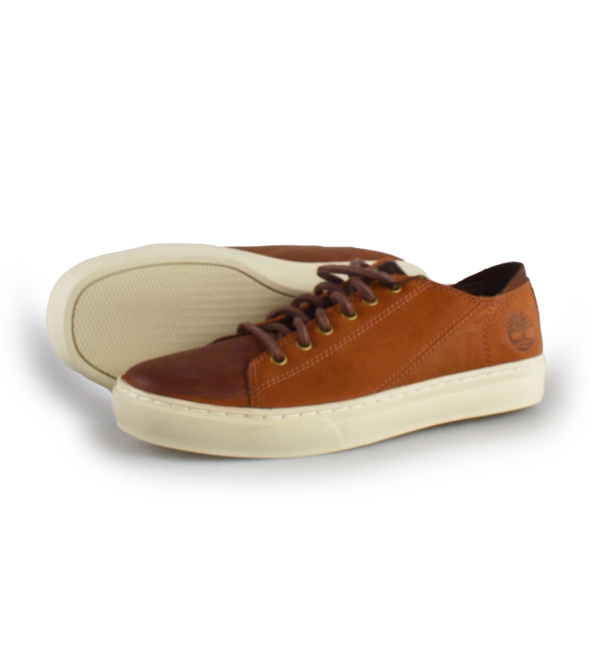 Timberland Sneakers