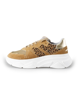 DSTRCT Sneakers Bruin 196696