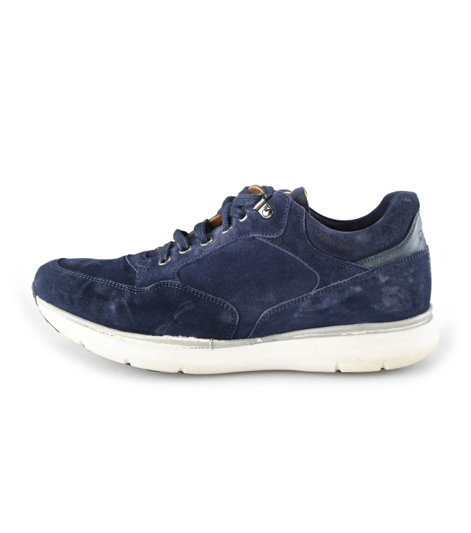 Greve Sneakers