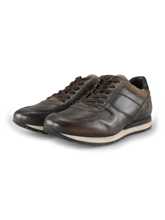Greve Sneakers Bruin 197565