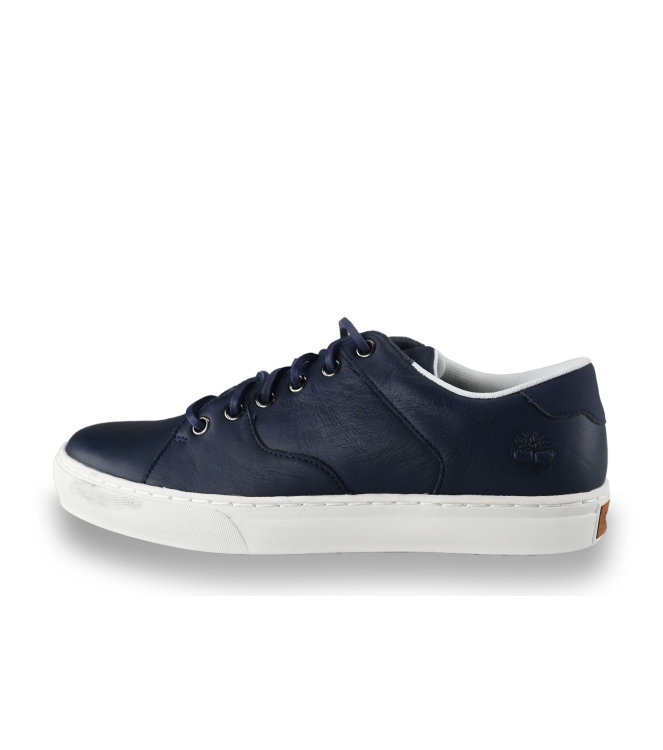 Timberland Sneakers