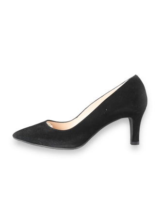 Lodi Pumps
