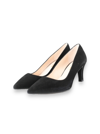 Lodi Pumps
