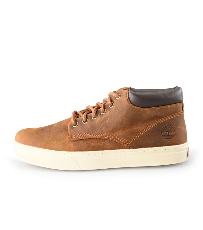 Timberland Sneakers