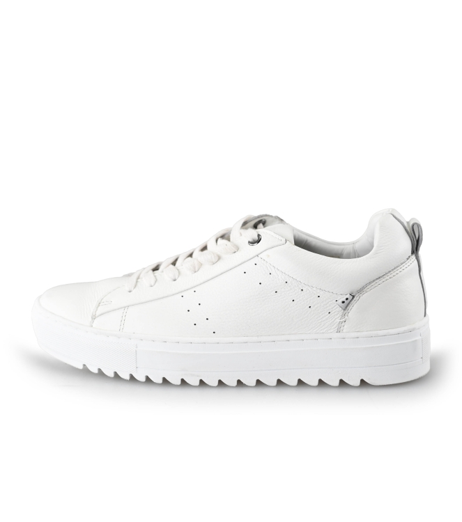 J.C. Rags Sneakers
