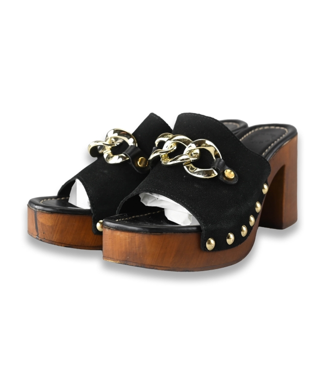 Nelson Pumps