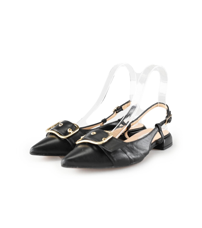 Notre-V Pumps