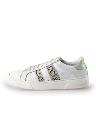 HIP Sneakers
