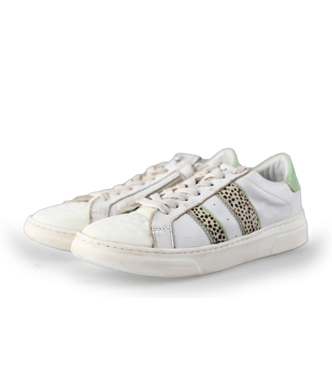 HIP Sneakers