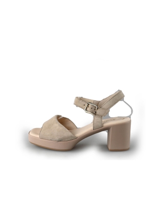 Gabor Pumps