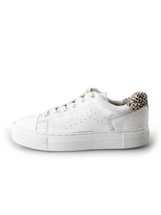 Cellini Sneakers Wit 212658