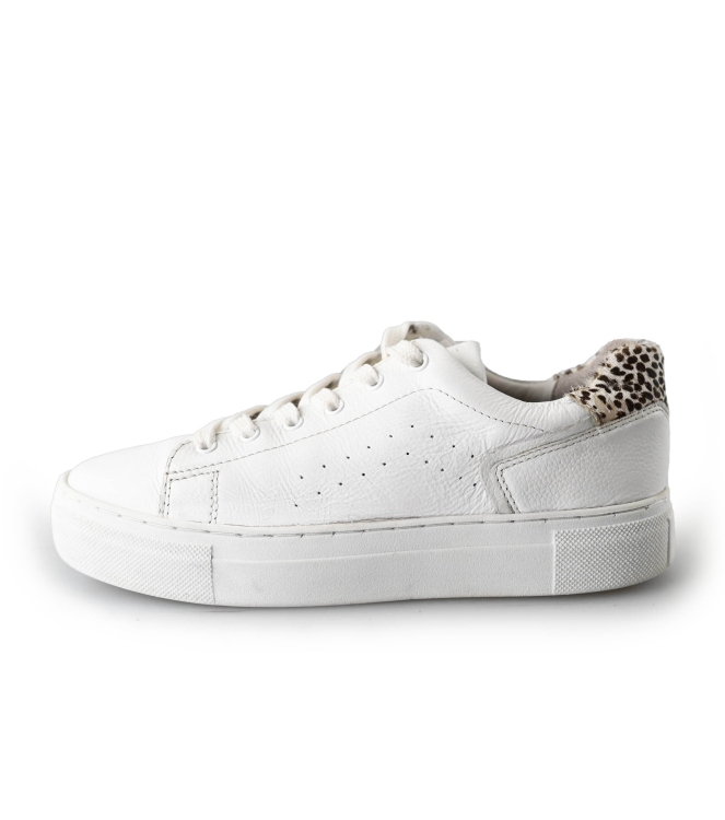 Cellini Sneakers