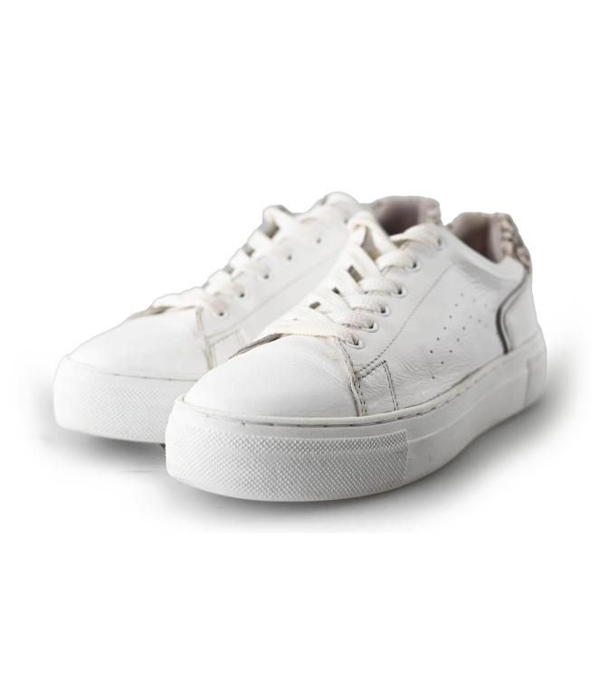 Cellini Sneakers