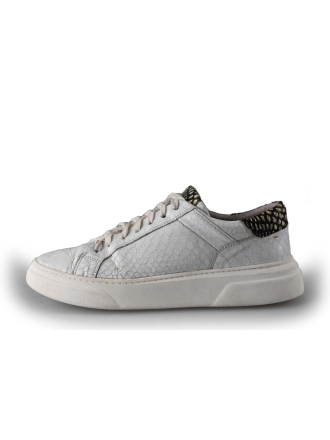 Floris van Bommel Sneakers Wit 214221
