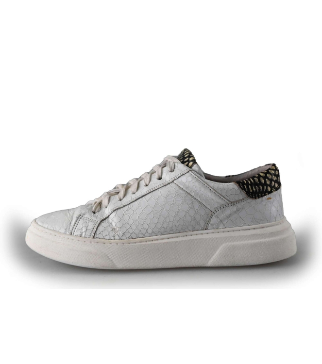 Floris van Bommel Sneakers