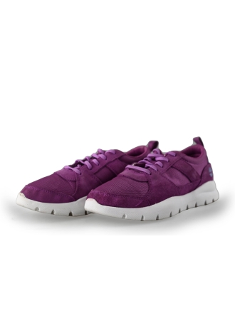 Timberland Sneakers Paars 214811
