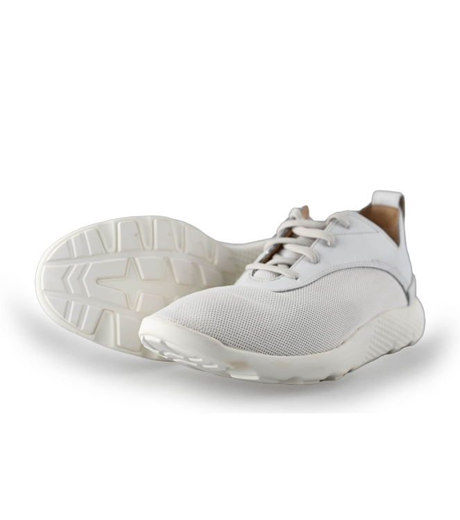 Timberland Sneakers