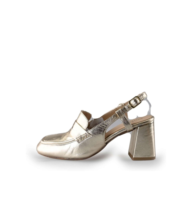 Notre-V Pumps