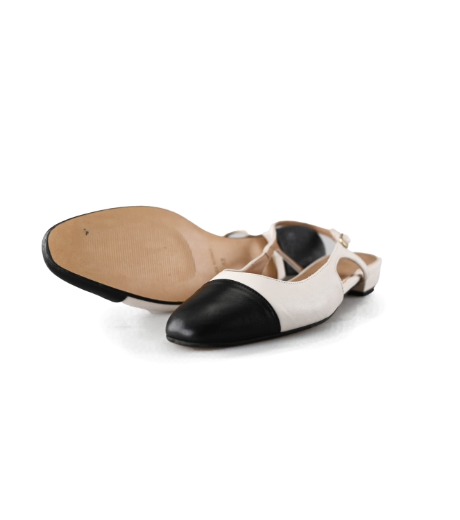 Notre-V Ballerina's