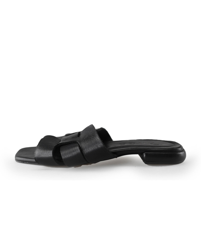 Tango Slippers