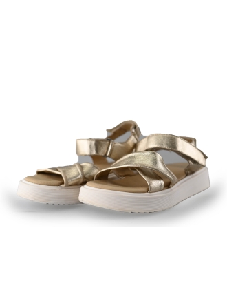 AP Sandalen Goud 217603