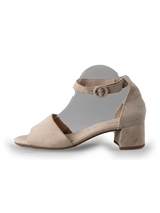 Gabor Pumps