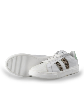 HIP Sneakers