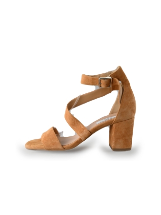 Notre-V Pumps