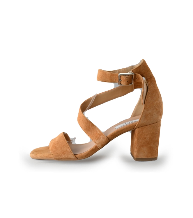 Notre-V Pumps