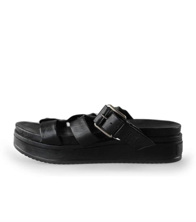 Shabbies Slippers