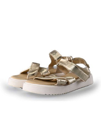 AP Sandalen Goud 217967